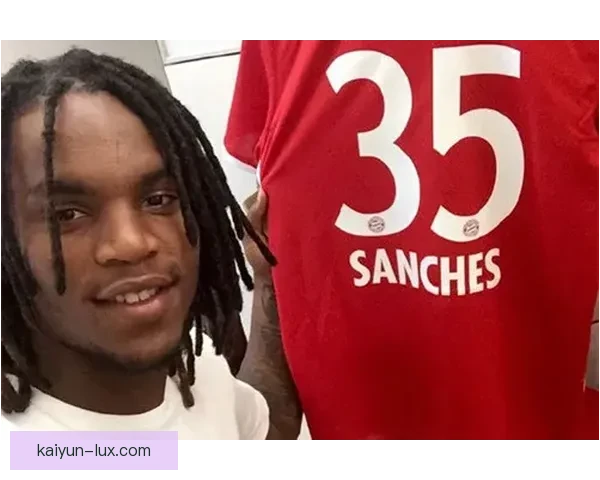 德甲转会窗临近结束，各球队动态值得关注